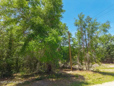 00 Oak Run Road Crescent City FL 32112