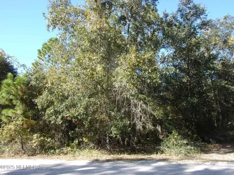 00 Oak Run Road Crescent City FL 32112