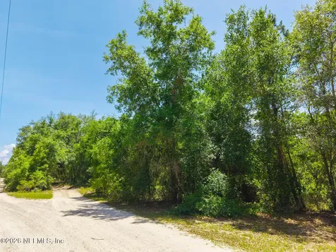 00 Oak Run Road Crescent City FL 32112