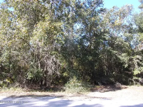 00 Oak Run Road Crescent City FL 32112