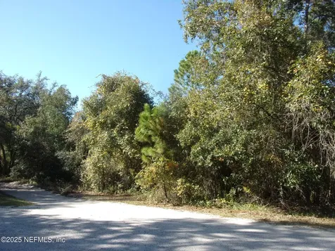 00 Oak Run Road Crescent City FL 32112