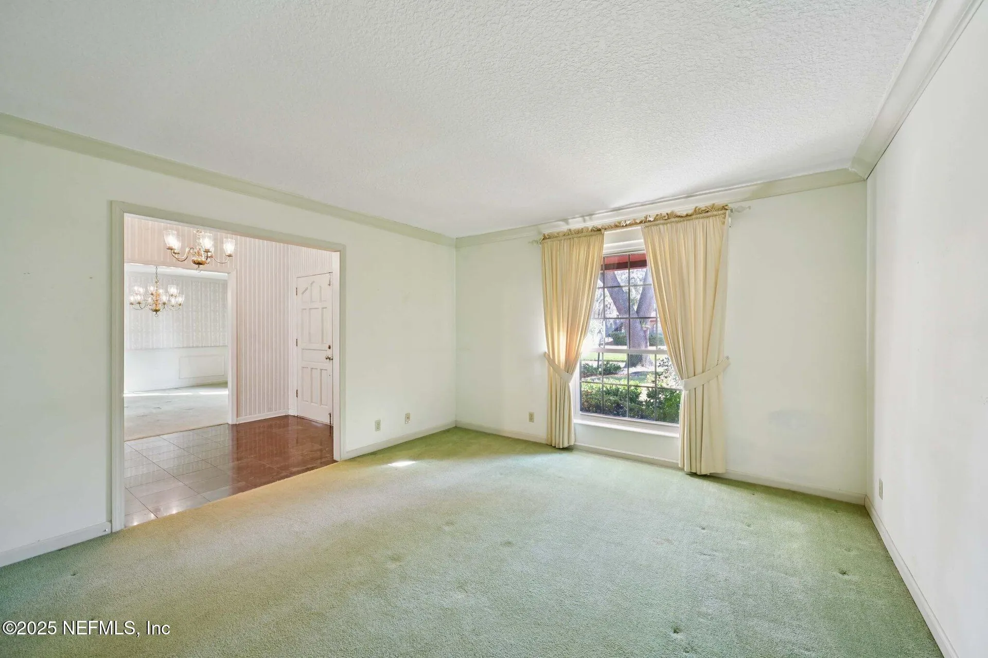 3707 Cathedral Oaks Place S Jacksonville FL 32217