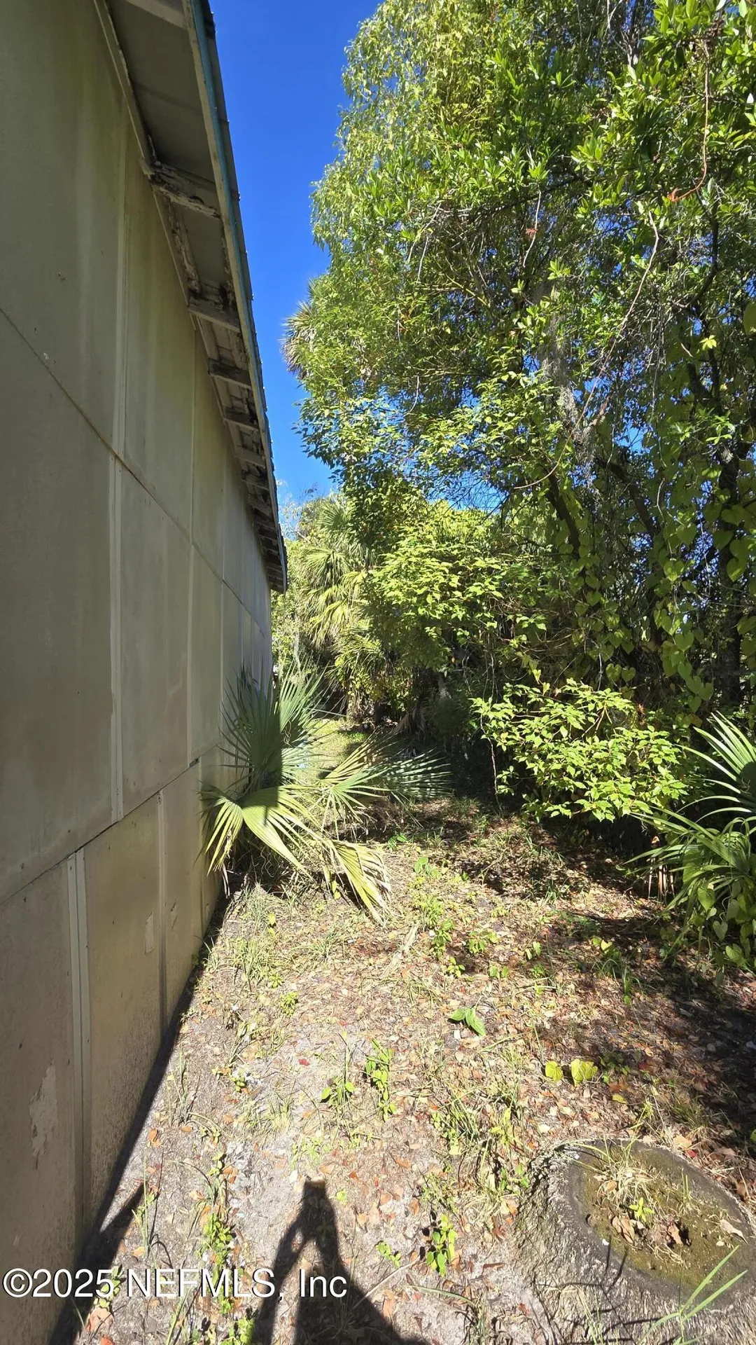 1310 Street Johns Avenue Palatka FL 32177