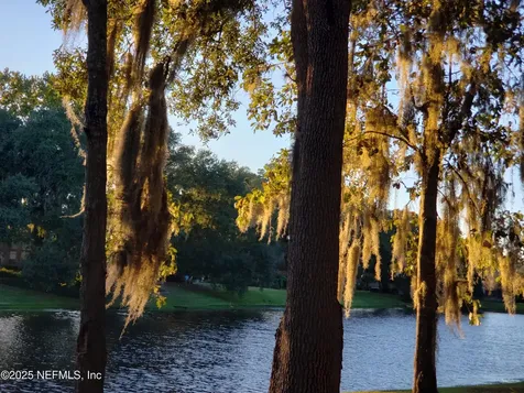 1947 Rose Mallow Lane Fleming Island FL 32003