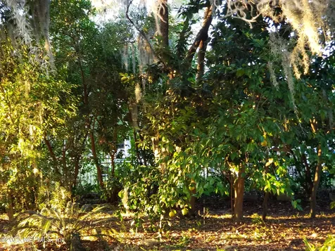 1947 Rose Mallow Lane Fleming Island FL 32003