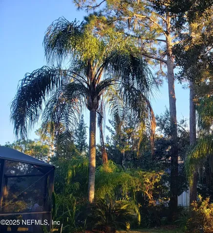 1947 Rose Mallow Lane Fleming Island FL 32003