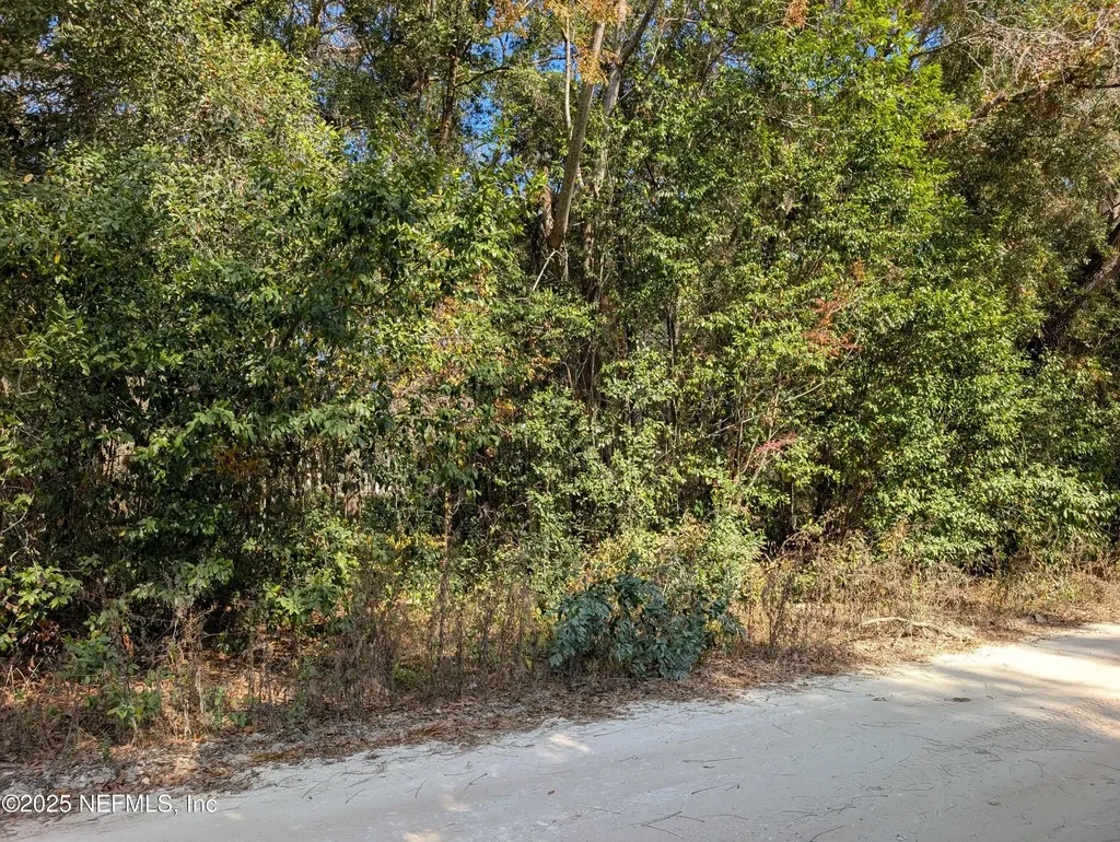 236 2nd Way Interlachen FL 32148