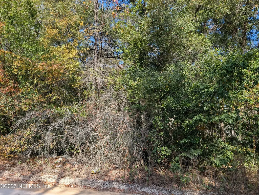 236 2nd Way Interlachen FL 32148