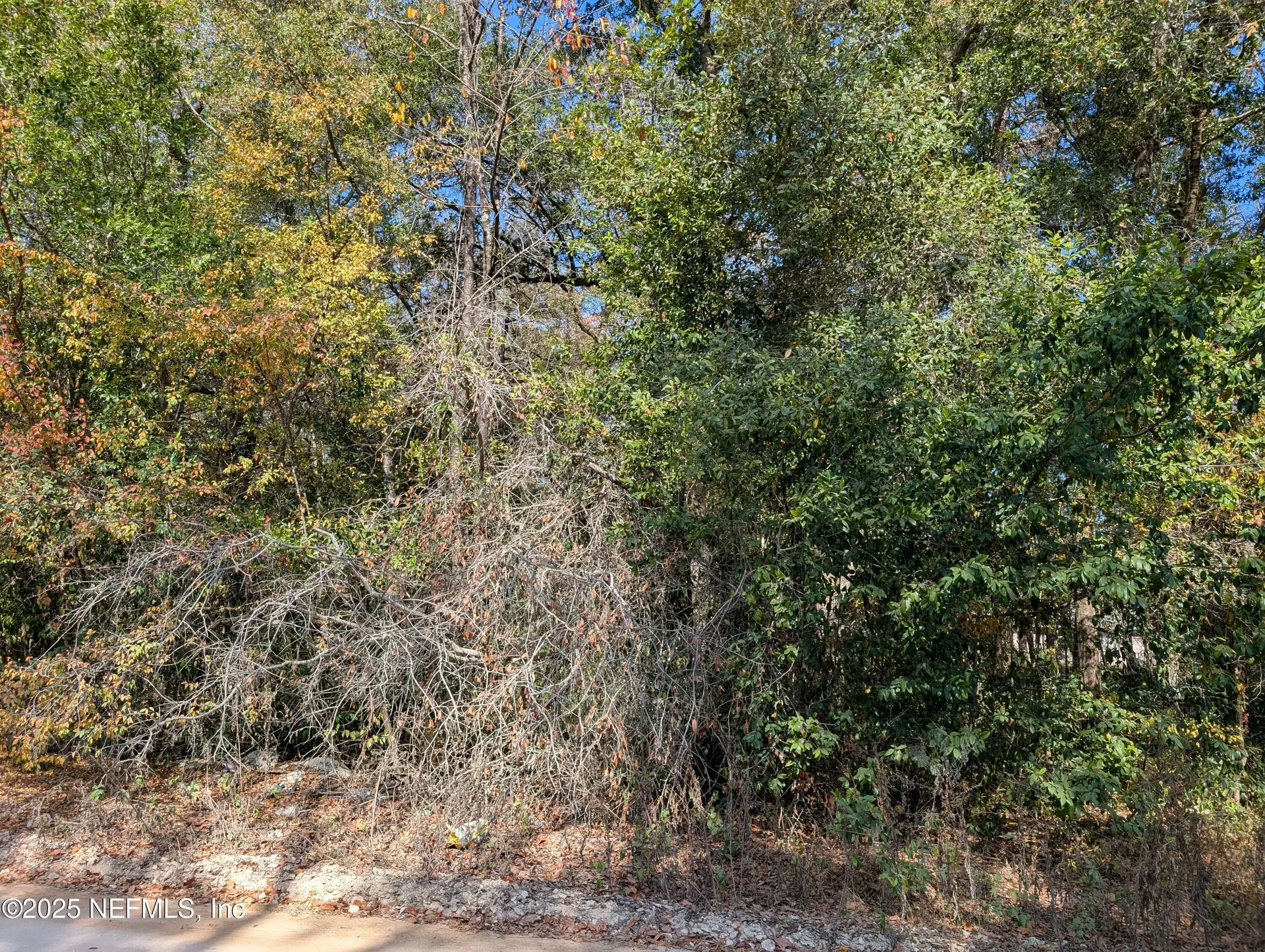 236 2nd Way Interlachen FL 32148
