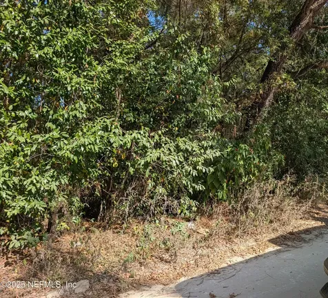 236 2nd Way Interlachen FL 32148