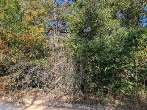 236 2nd Way Interlachen FL 32148