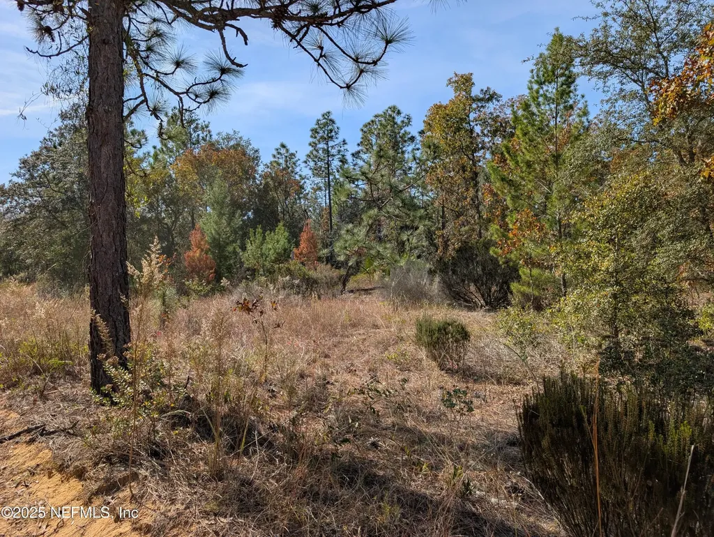 0570-0020 Violet Avenue Interlachen FL 32148