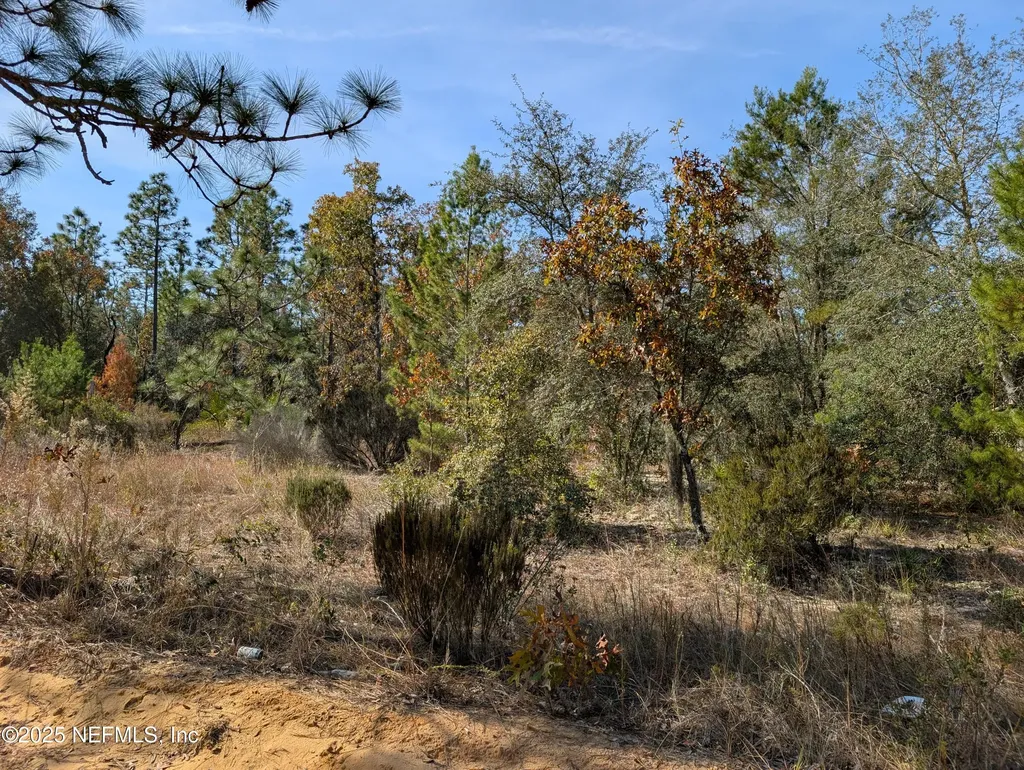 0570-0020 Violet Avenue Interlachen FL 32148
