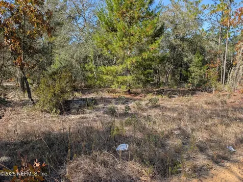 0570-0020 Violet Avenue Interlachen FL 32148