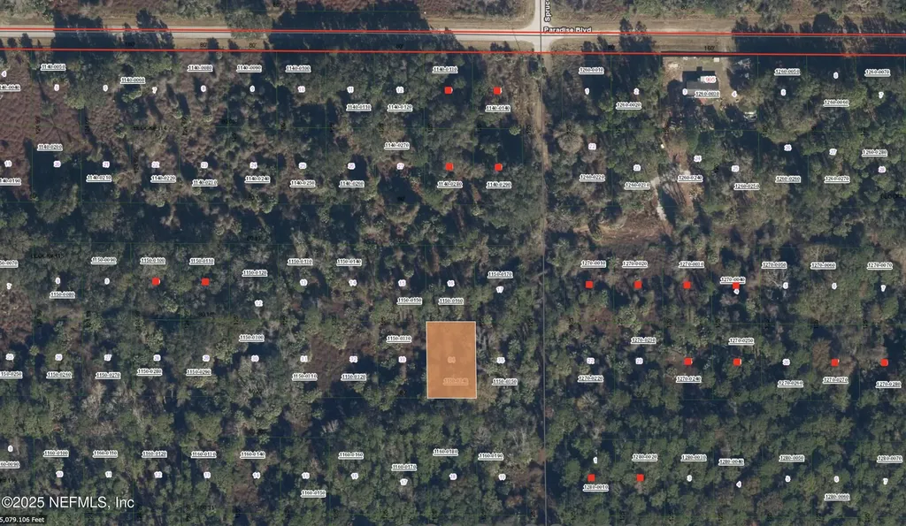 234 Laisy Drive Georgetown FL 32139
