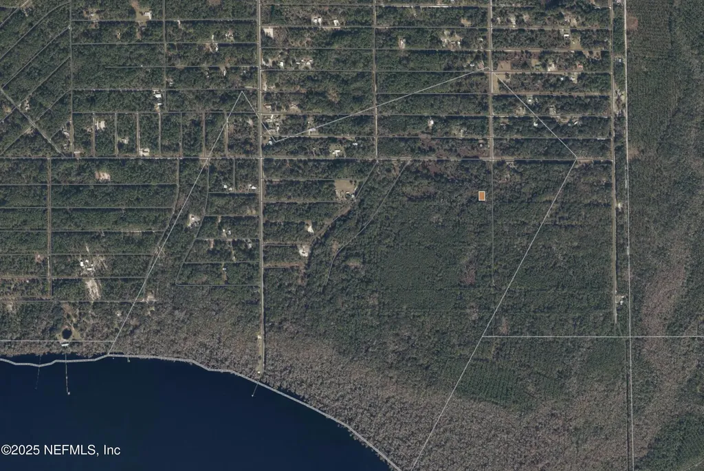 234 Laisy Drive Georgetown FL 32139