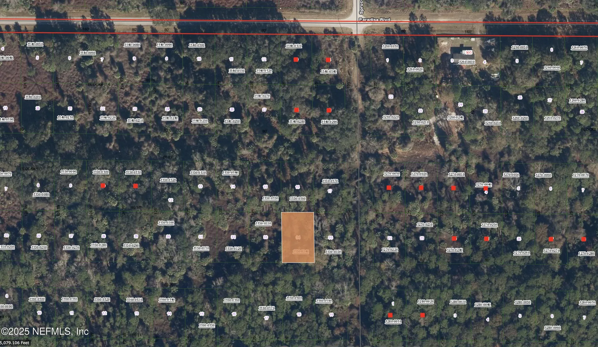 234 Laisy Drive Georgetown FL 32139