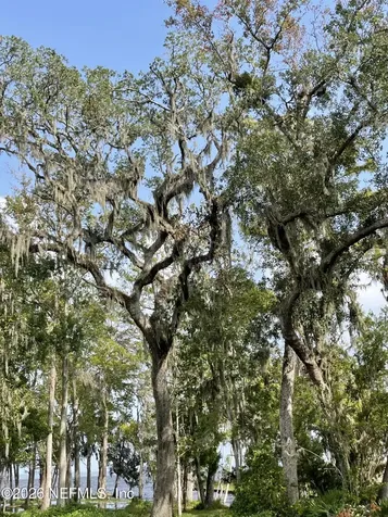 1570 River Rise Point Fleming Island FL 32003
