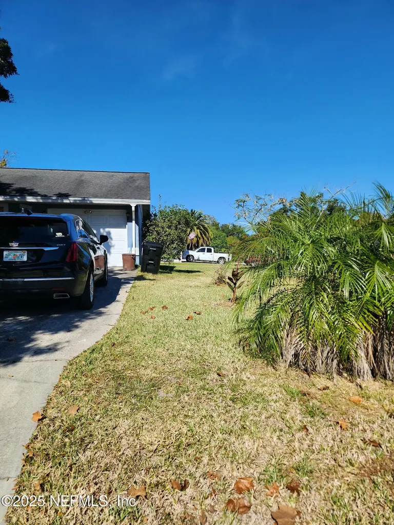 1562 Ibis Drive Orange Park FL 32065