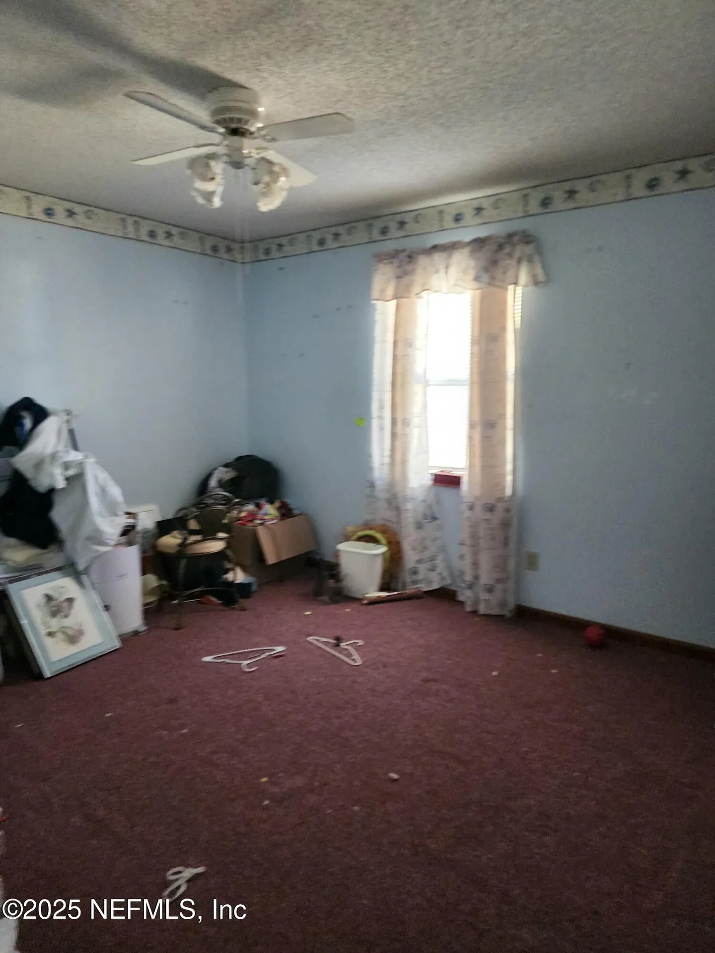 1562 Ibis Drive Orange Park FL 32065