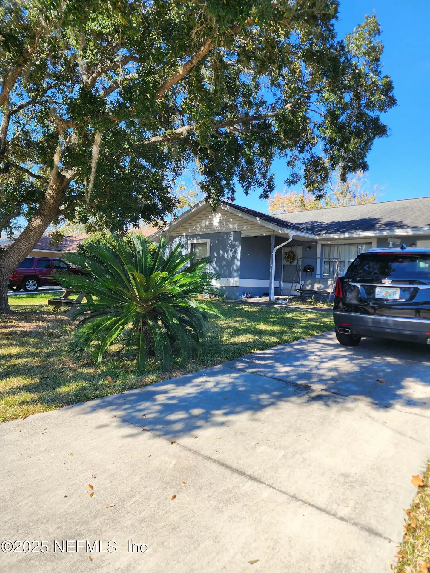 1562 Ibis Drive Orange Park FL 32065