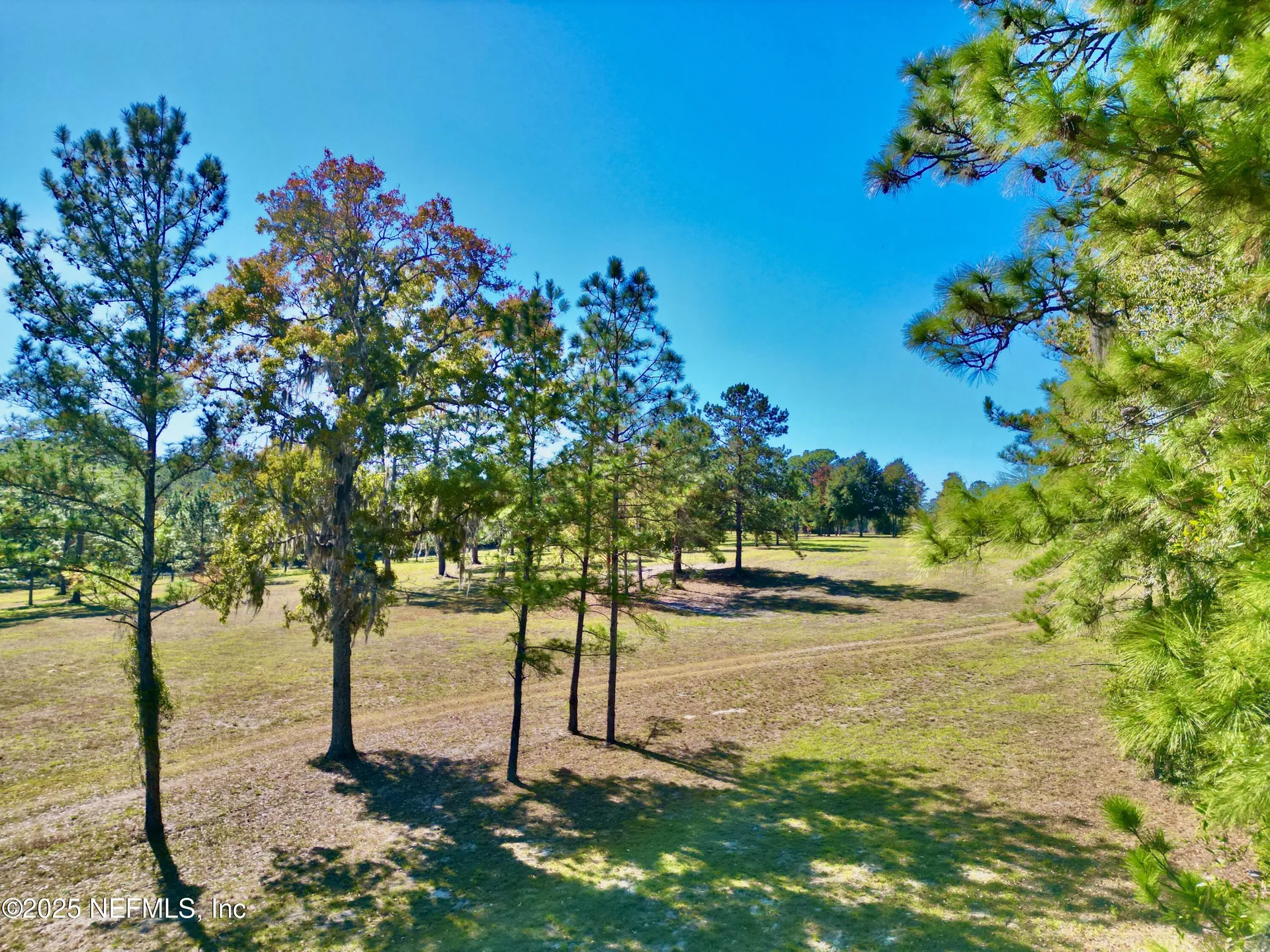 383 N State Road 21 Hawthorne FL 32640