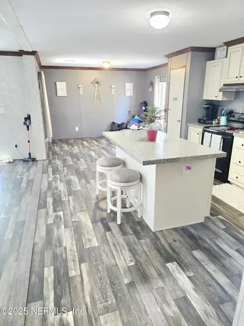 2535 Zunnia Street Middleburg FL 32068