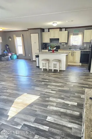2535 Zunnia Street Middleburg FL 32068