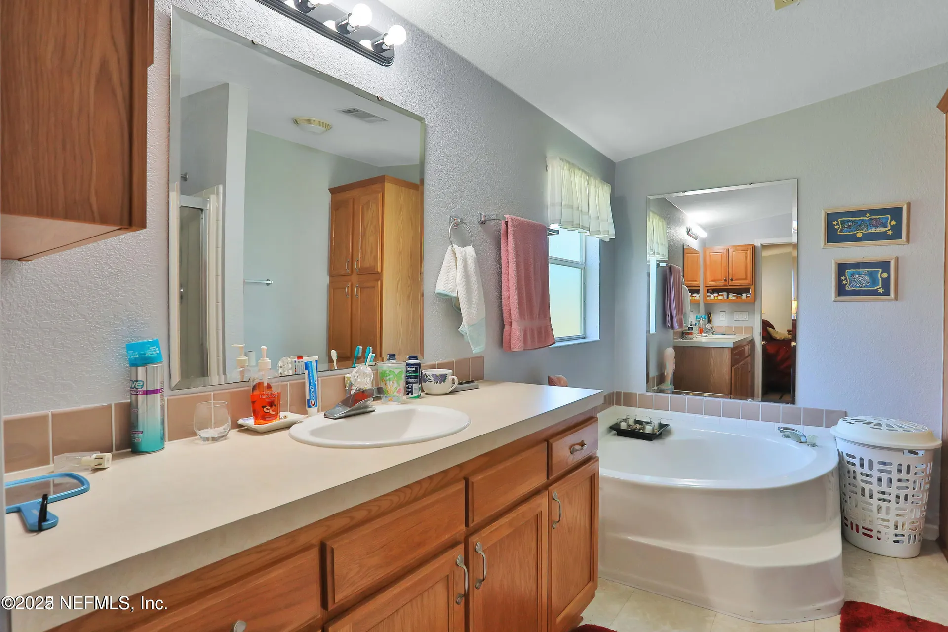 115 Walt Lane Satsuma FL 32189