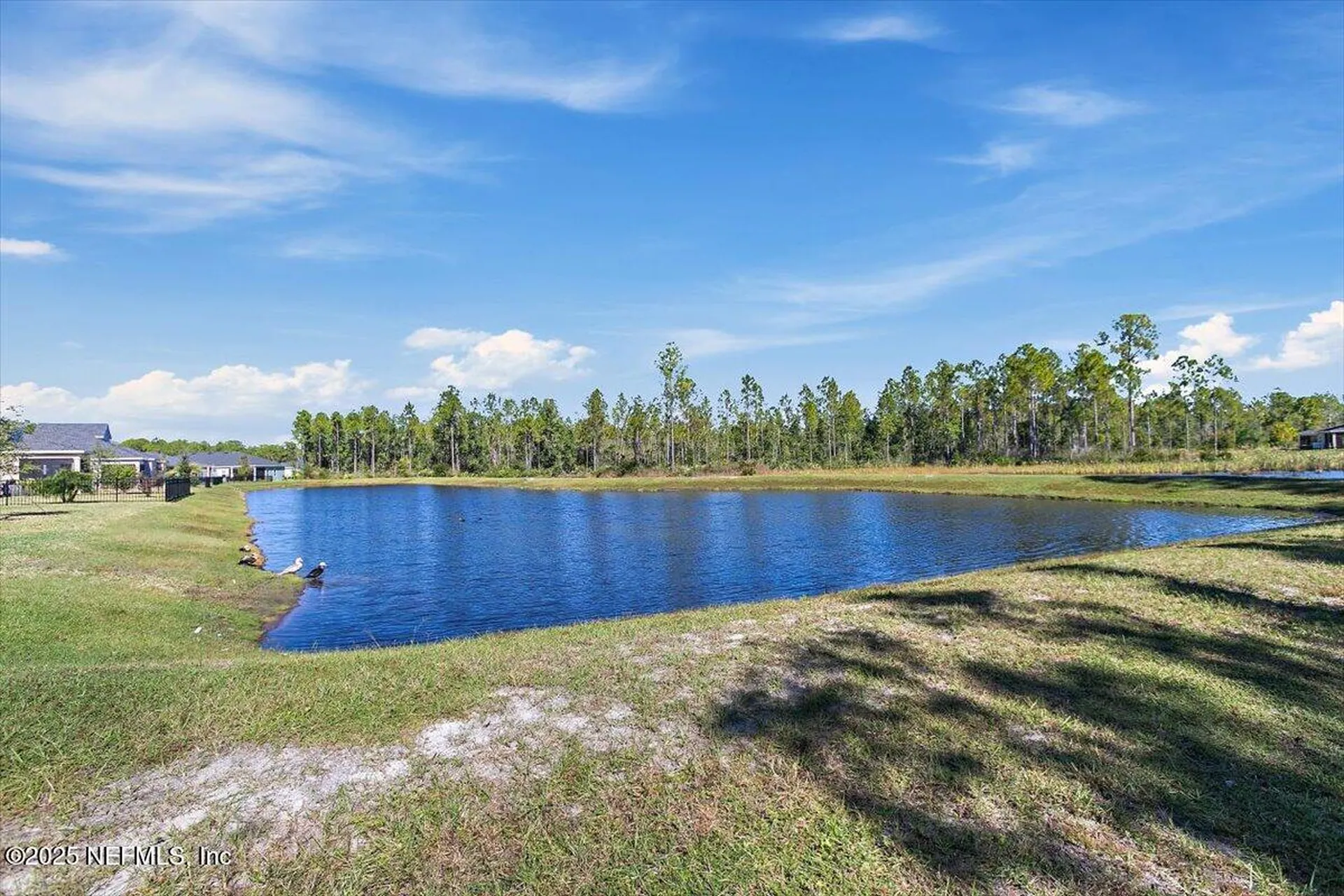 239 Blue Cypress Trail St. Augustine FL 32084