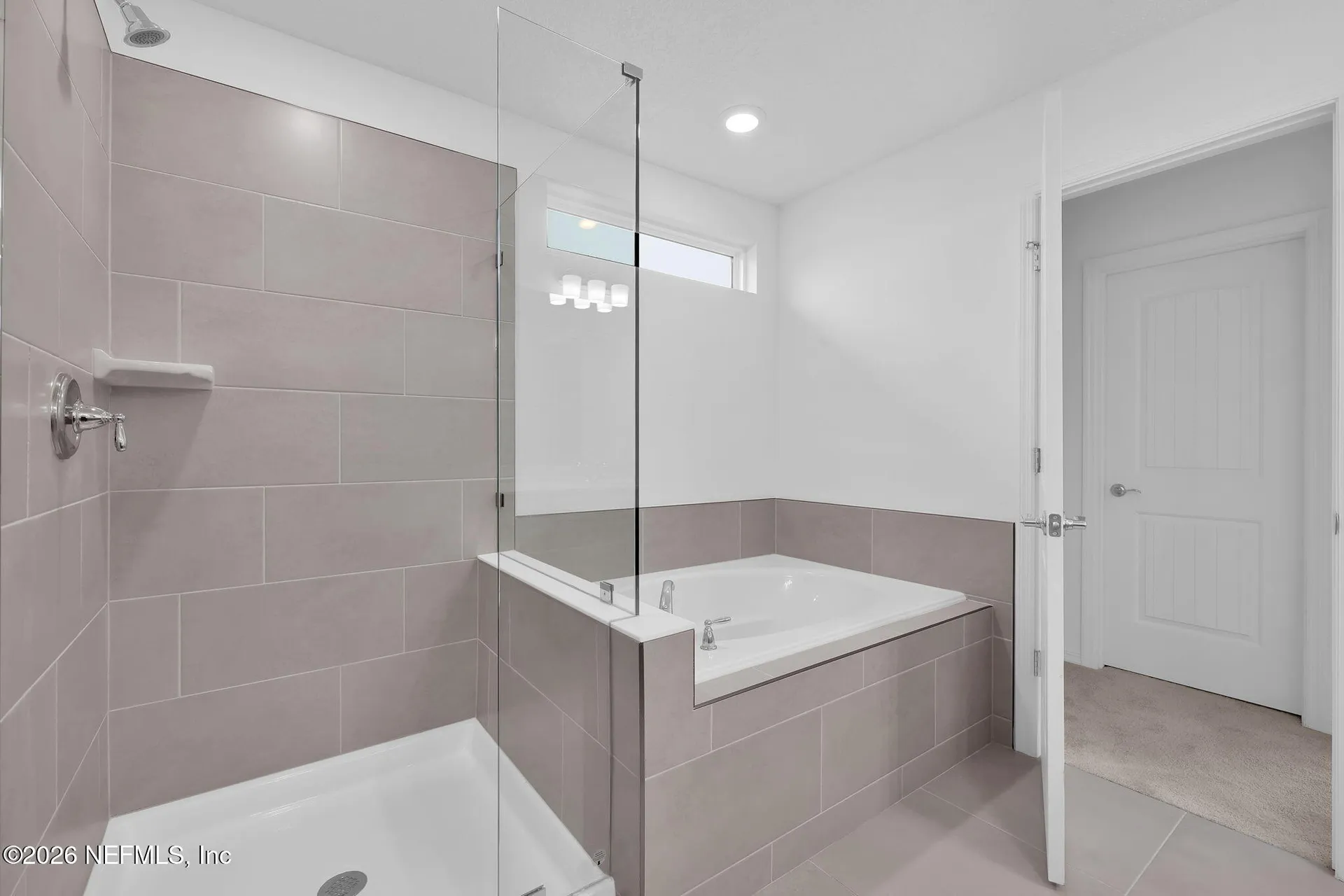 3224 Willowleaf Lane Green Cove Springs FL 32043