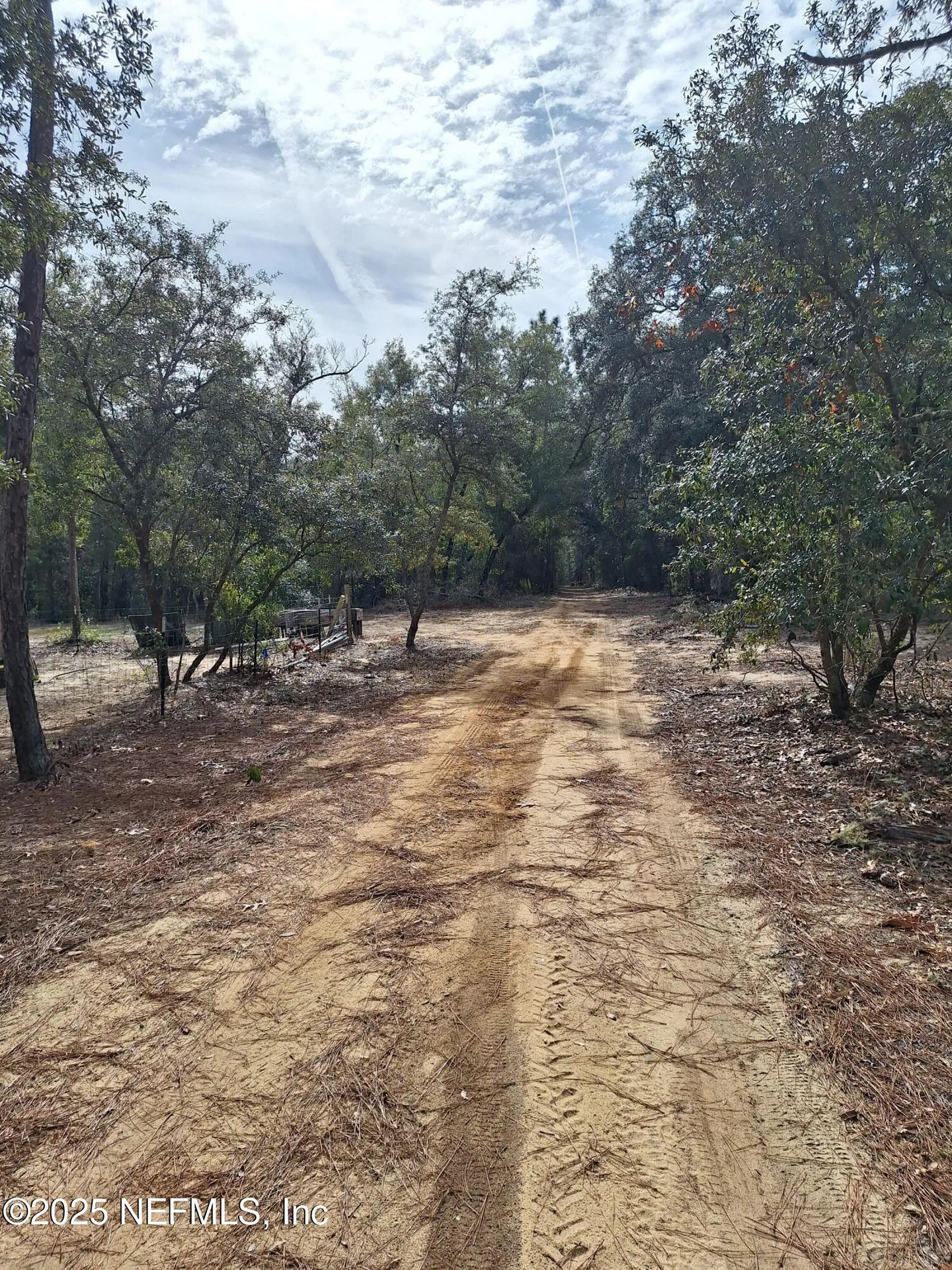 191 Kay Street Interlachen FL 32148