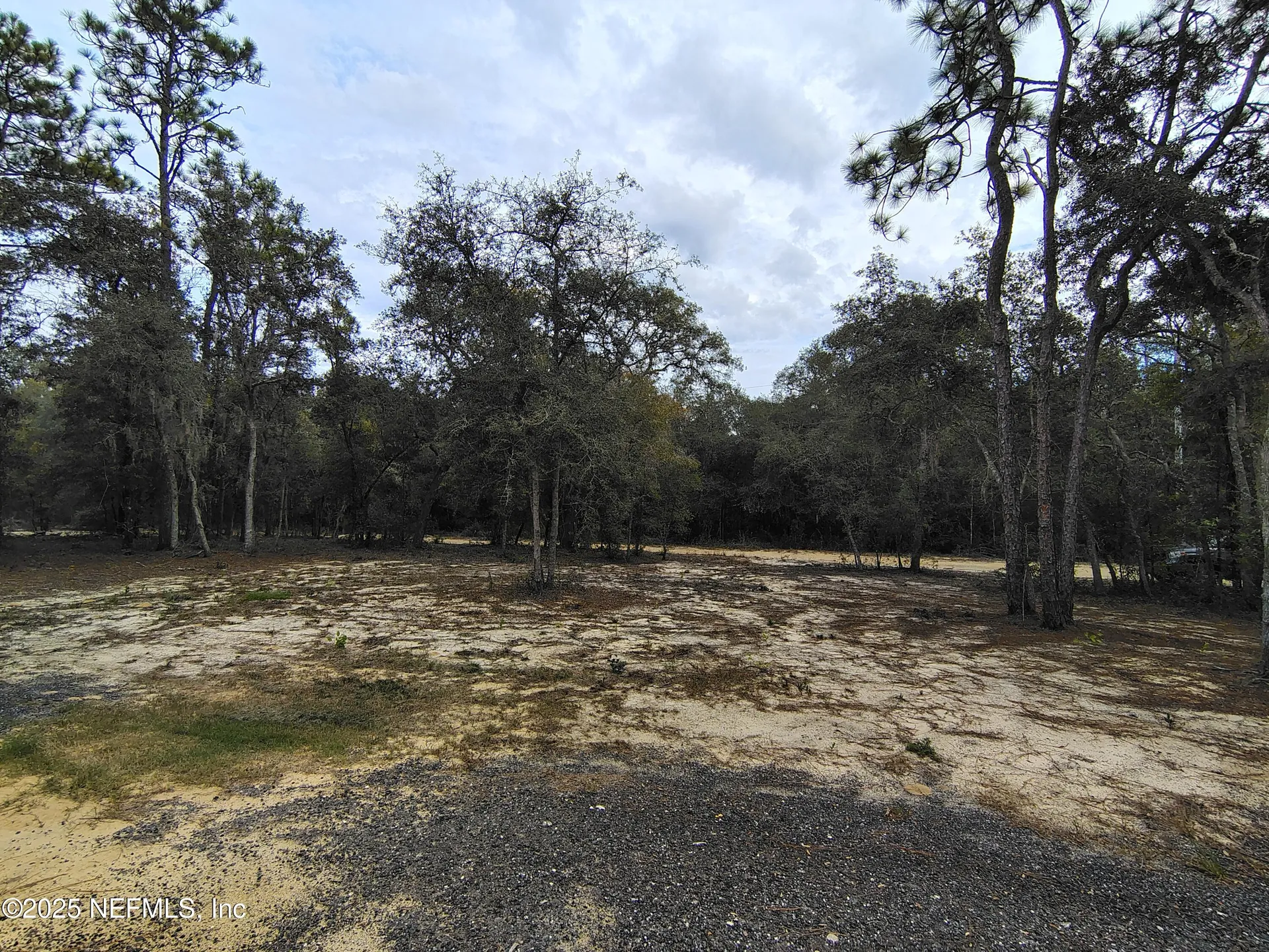 191 Kay Street Interlachen FL 32148