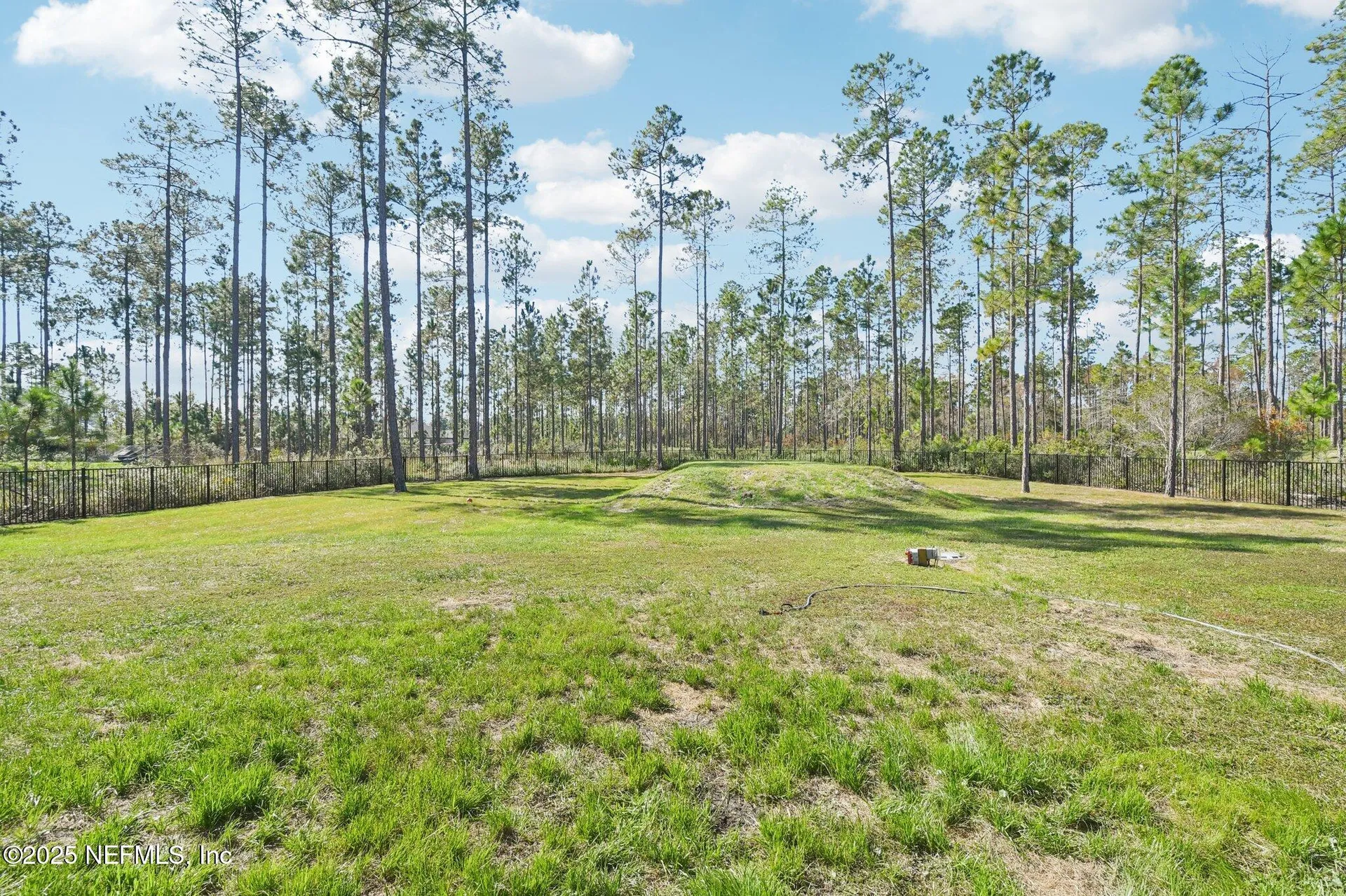 36273 Sugar Court Hilliard FL 32046