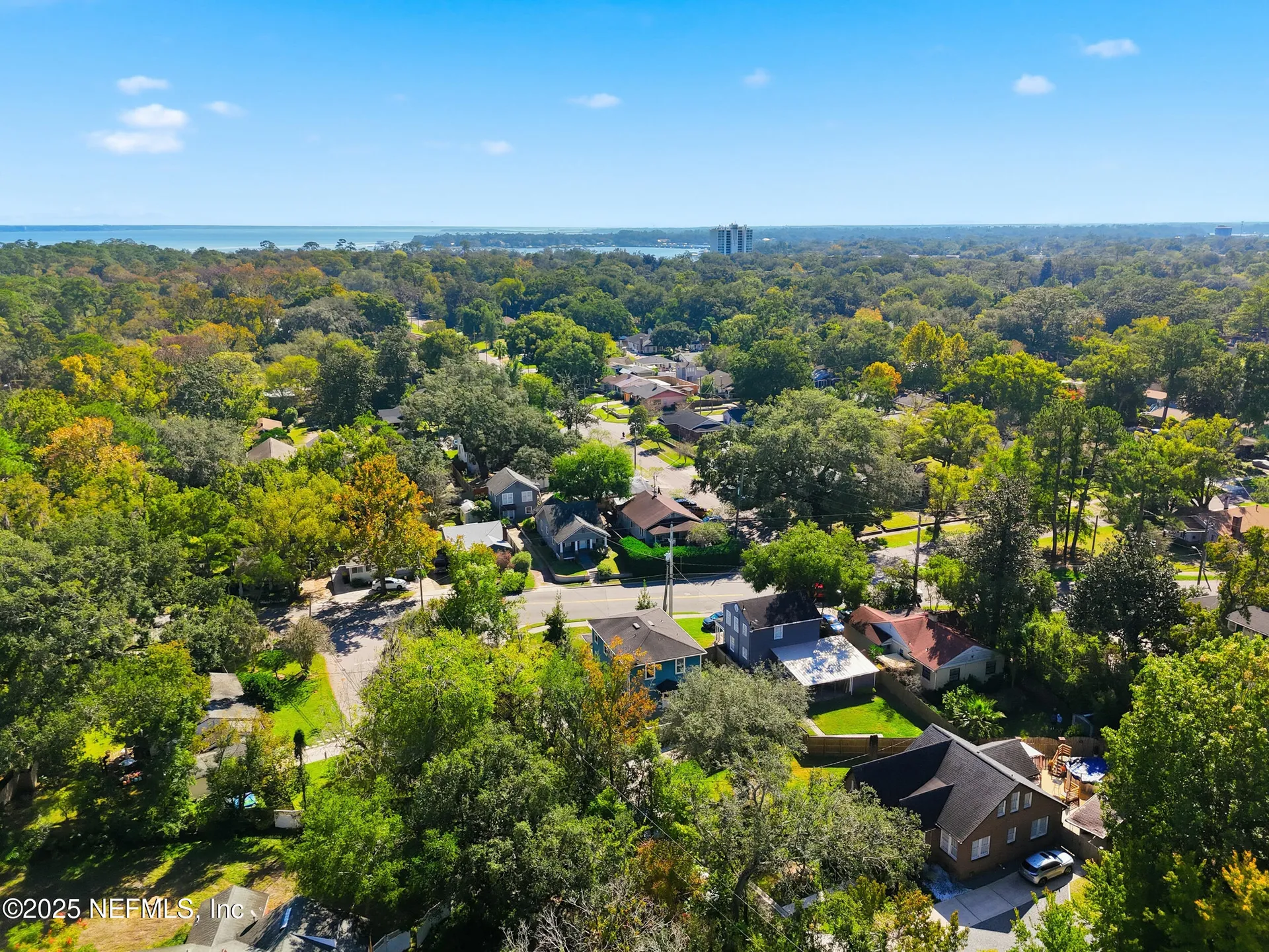 3805 Park Street Jacksonville FL 32205