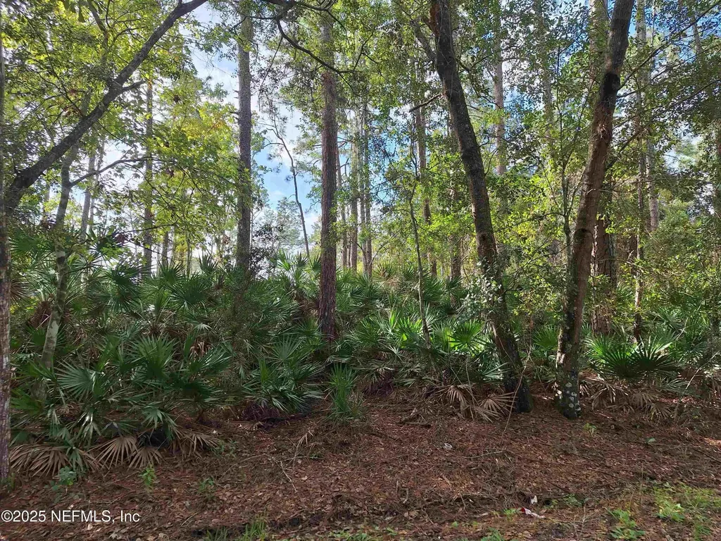 201 Pineway West Avenue Satsuma FL 32189
