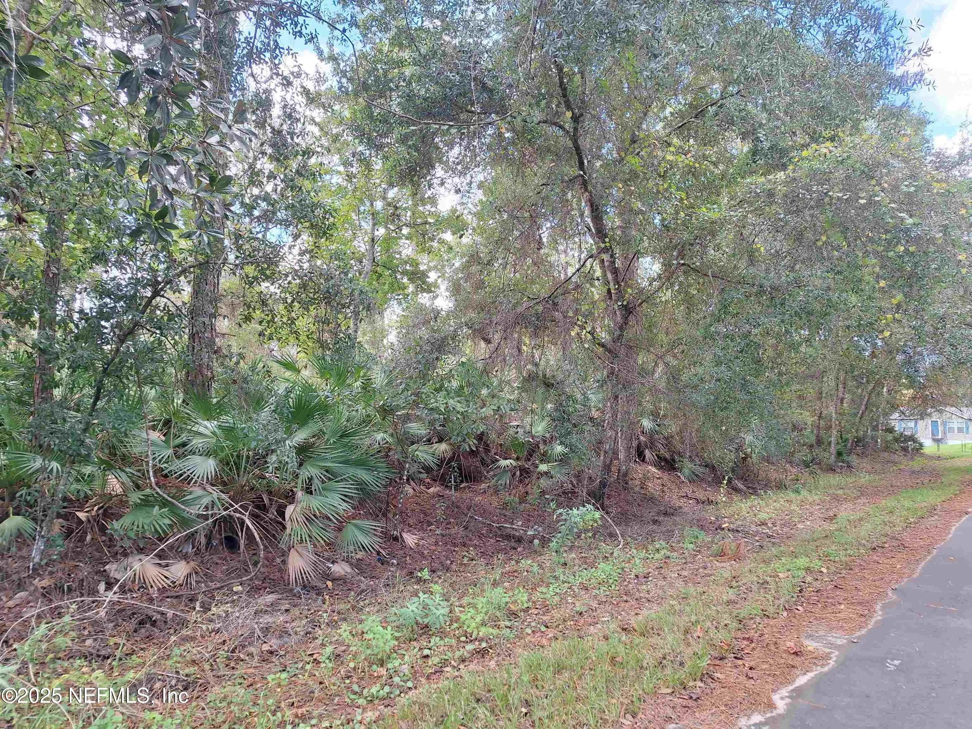 201 Pineway West Avenue Satsuma FL 32189