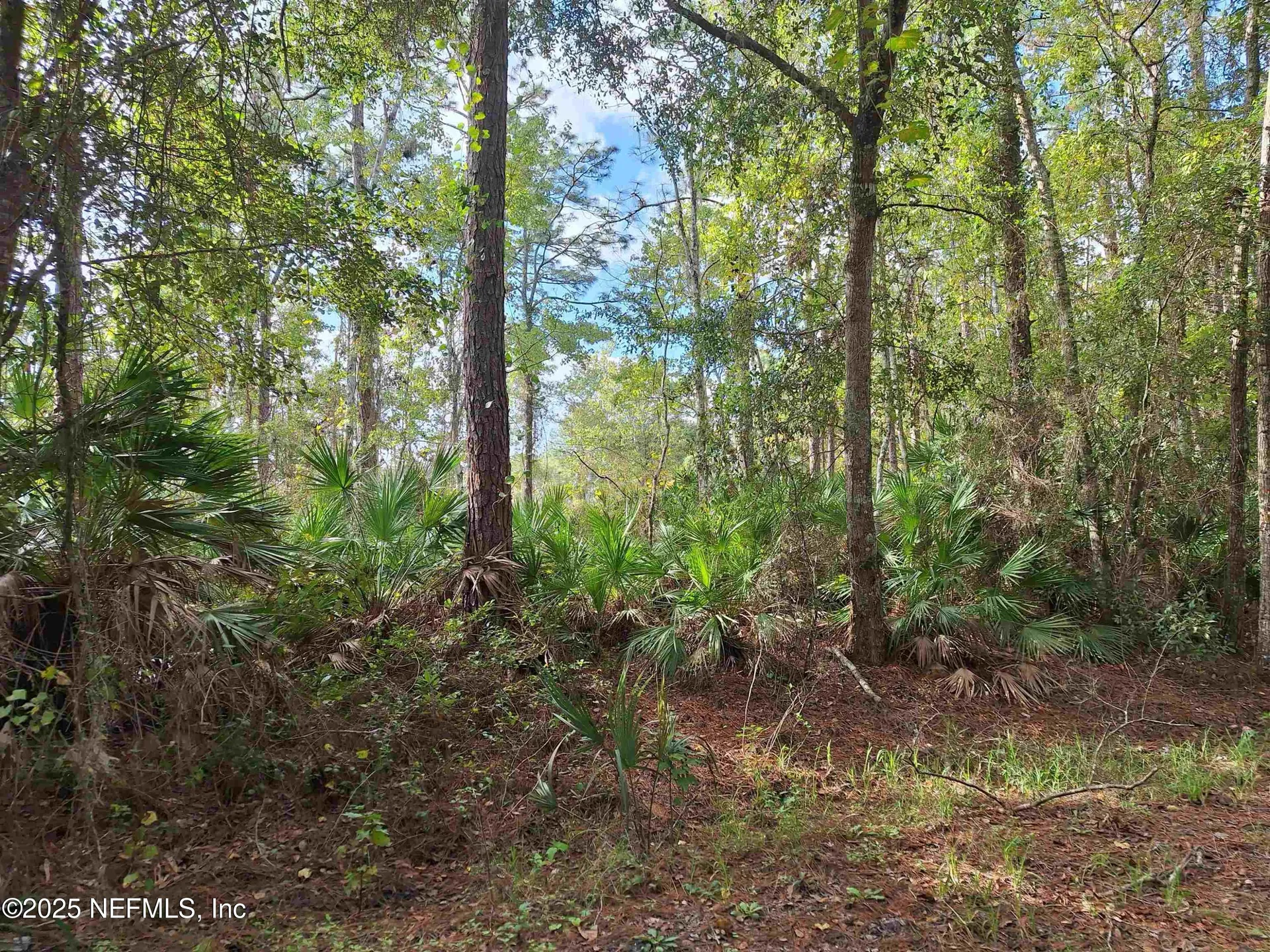 201 Pineway West Avenue Satsuma FL 32189
