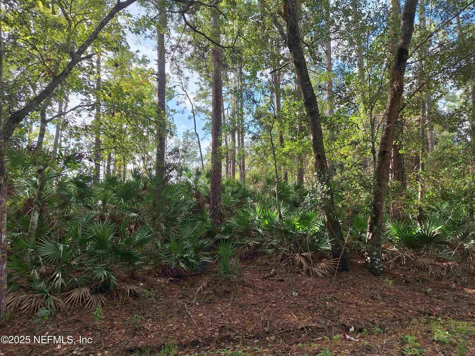 201 Pineway West Avenue Satsuma FL 32189