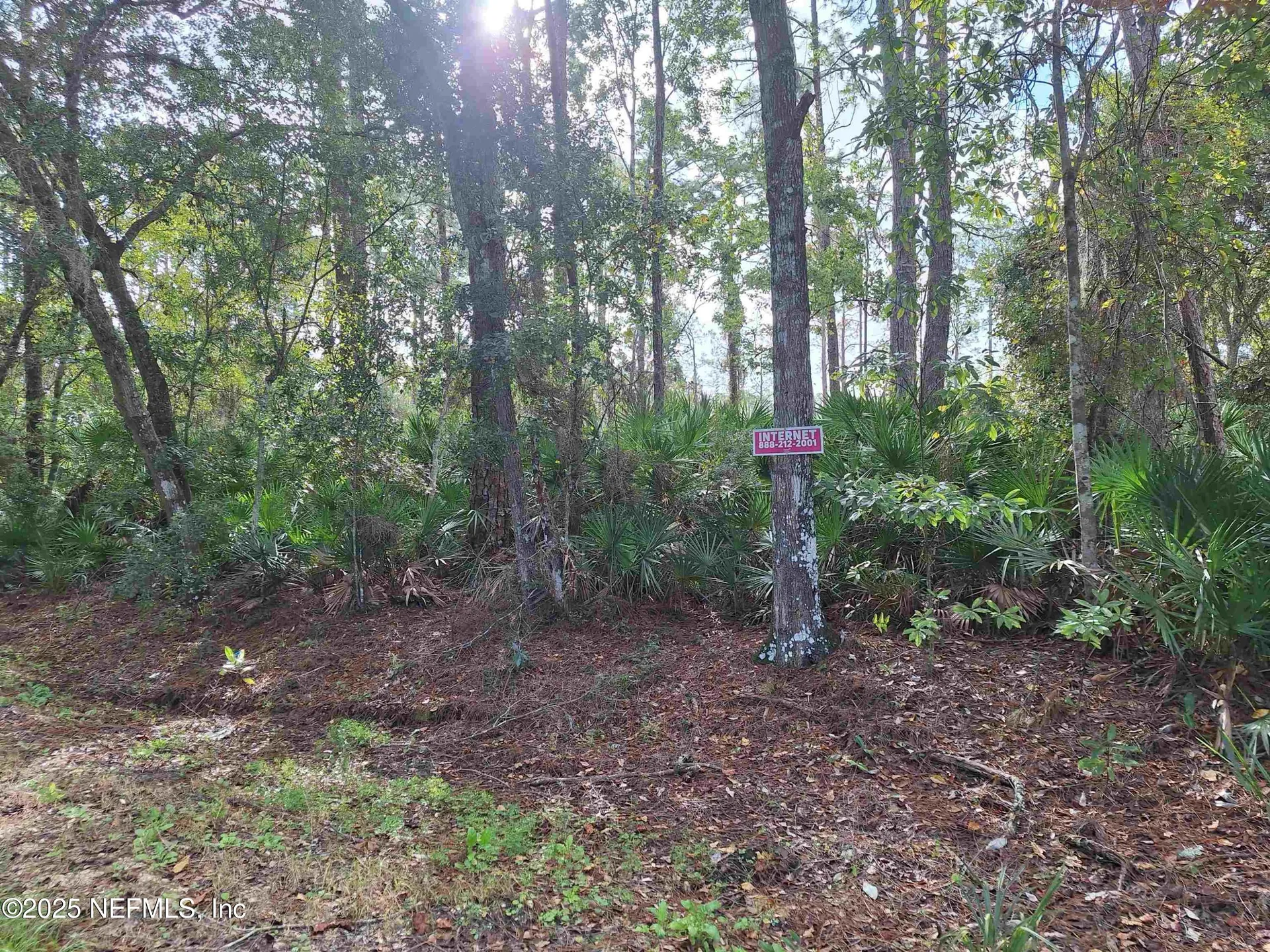 201 Pineway West Avenue Satsuma FL 32189