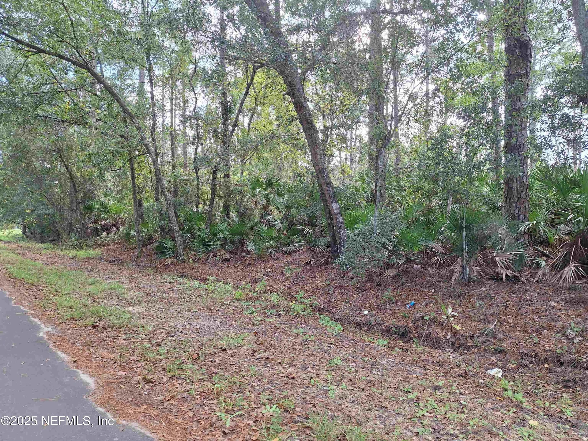 201 Pineway West Avenue Satsuma FL 32189