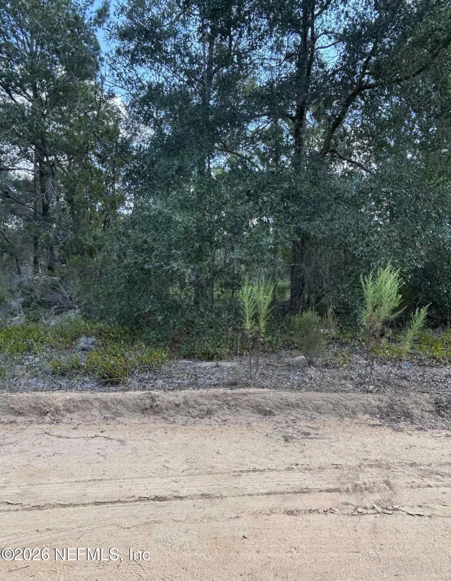 136 Martin Street Interlachen FL 32148
