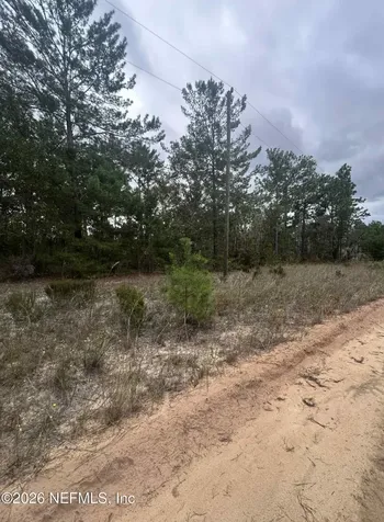 136 Martin Street Interlachen FL 32148