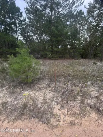 136 Martin Street Interlachen FL 32148