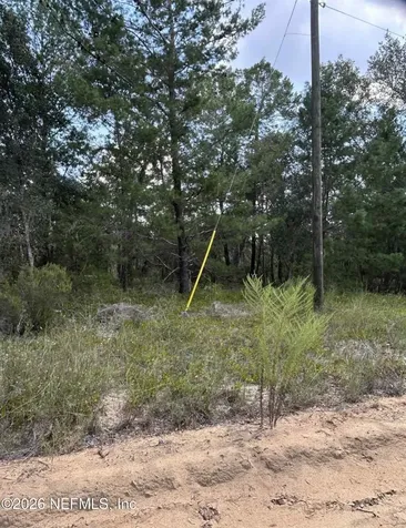 136 Martin Street Interlachen FL 32148