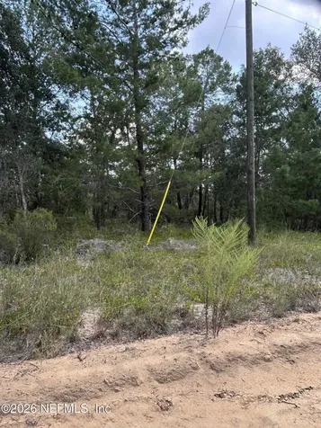 136 Martin Street Interlachen FL 32148