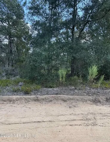 136 Martin Street Interlachen FL 32148