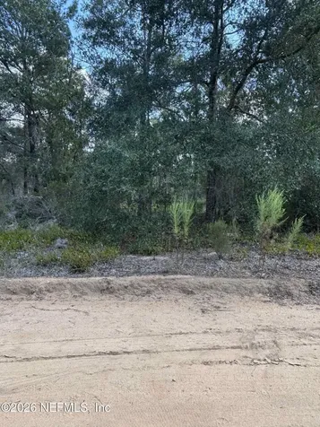 136 Martin Street Interlachen FL 32148