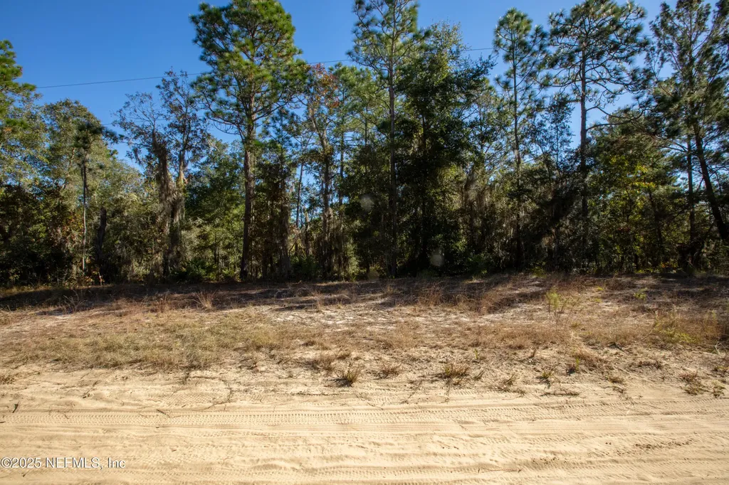 000 W Hillsborough Avenue Florahome FL 32140