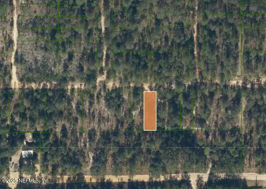 0 Unassigned Road Interlachen FL 32148
